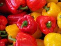 bell-peppers-499068_1280